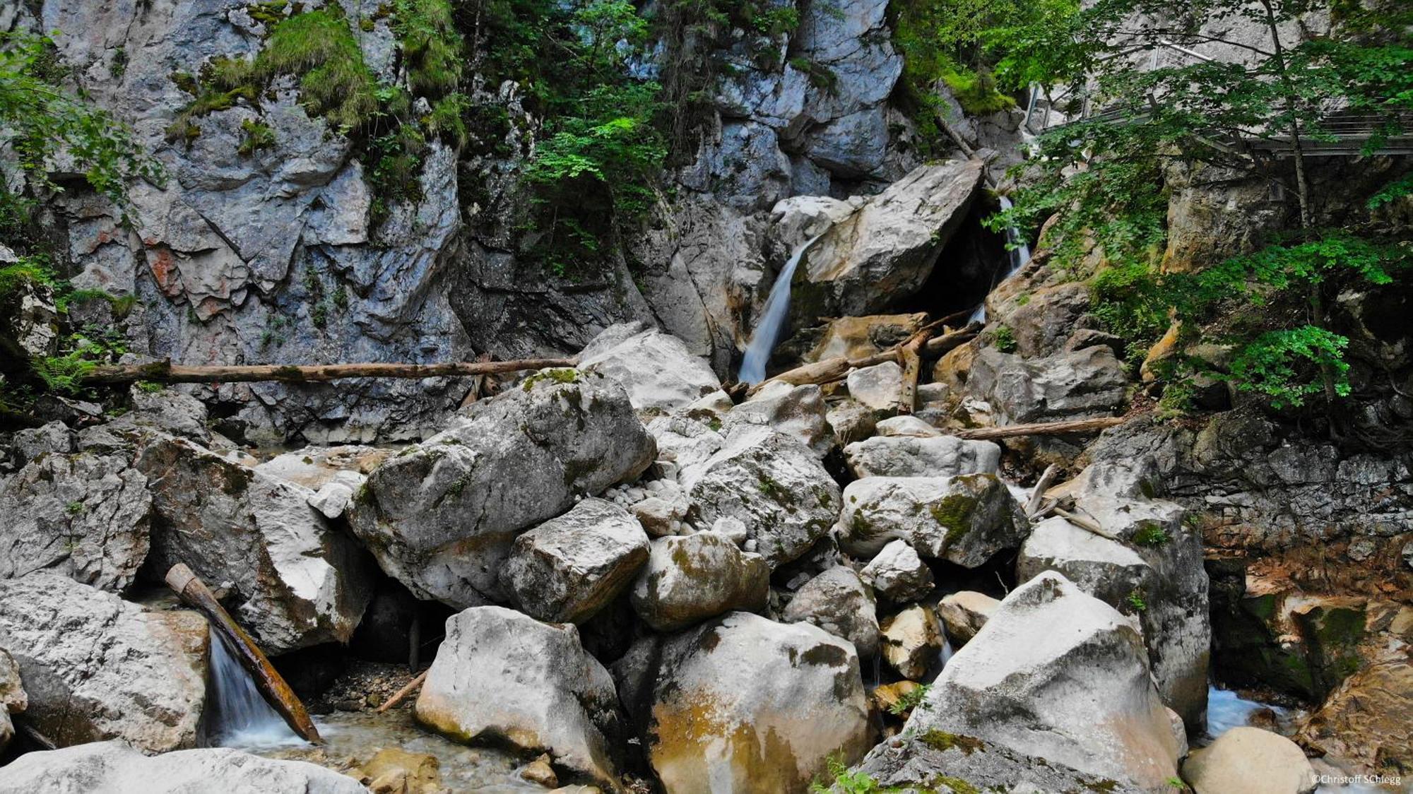 Seehotel Weissensee Füssen Dış mekan fotoğraf